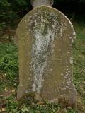 image of grave number 186556
